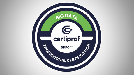 Certificación Big Data Professional Certificate - Curso online y preparación para el examen