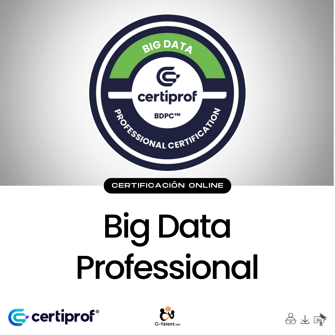 Certificación Big Data Professional Certificate
