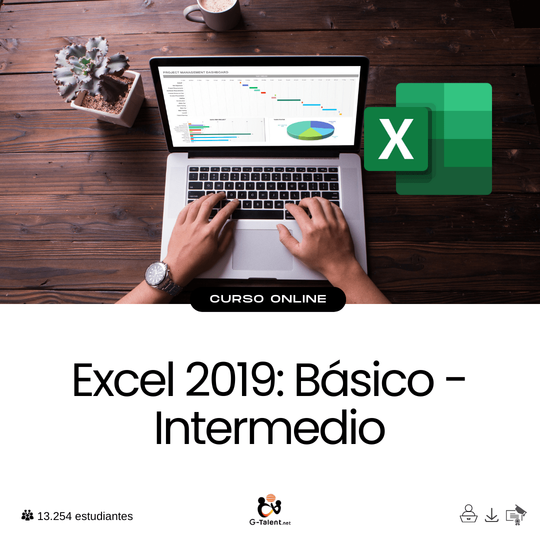 Excel 2019: Básico - Intermedio - G - Talent.Net