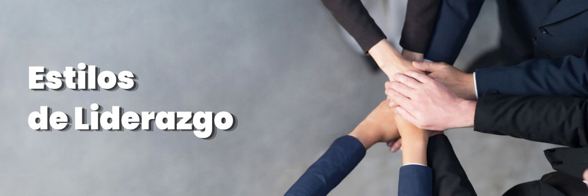 Estilos de Liderazgo Dentro de las Organizaciones - G-Talent.Net