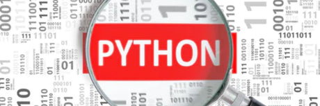 ¿Qué hace un desarrollador Python? - G-Talent.Net
