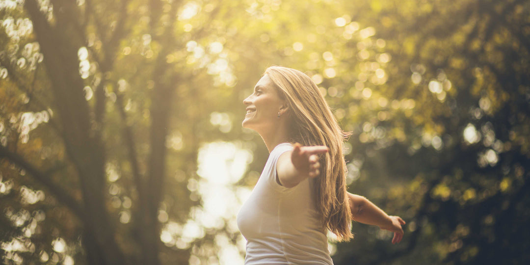 Video introductorio del curso aprende a crear y sanar tu árbol genealógico