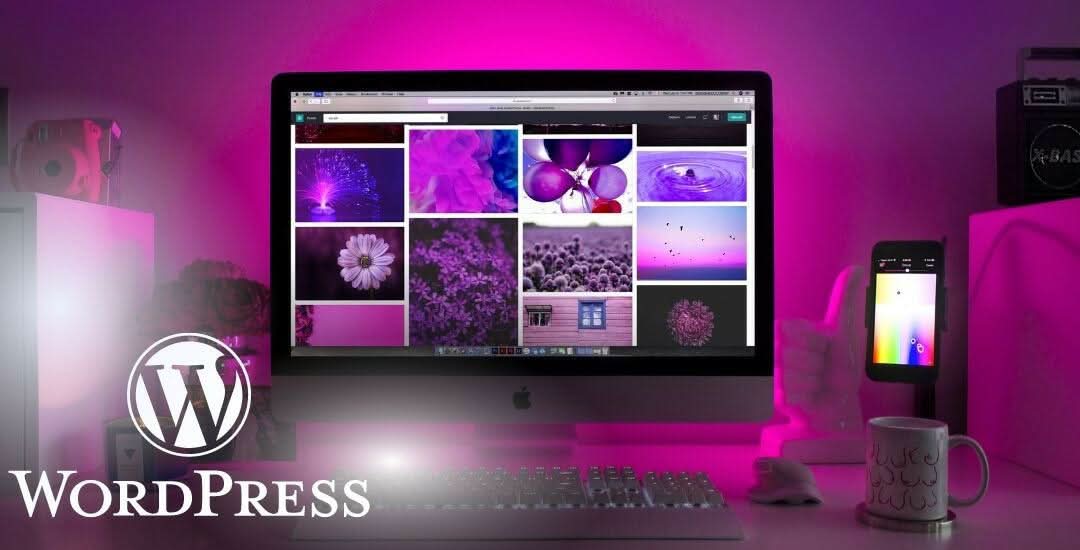 Video introductorio del curso desarrollo web en WordPress