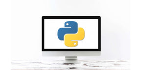 Python Basics Coding for Absolute Beginners : Programming - G - Talent.Net